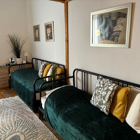 Central Apartment Next To The Elisabeth Bridge 부다페스트 외부 사진
